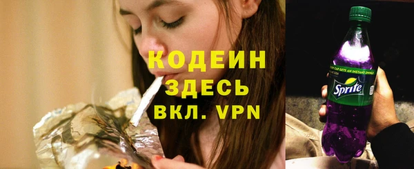 ECSTASY Вяземский