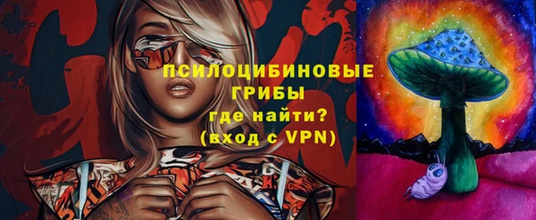 ECSTASY Вяземский