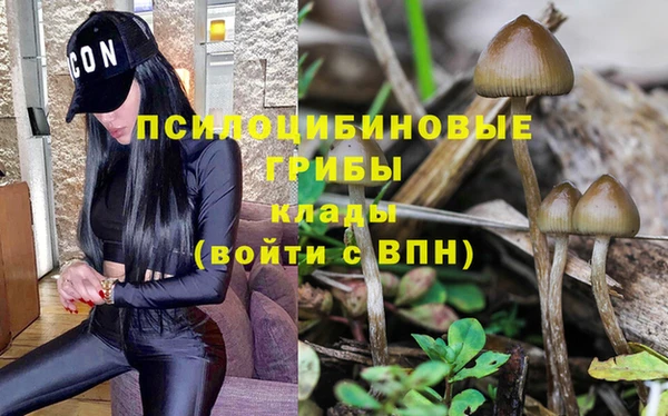 прущие крисы Вязники