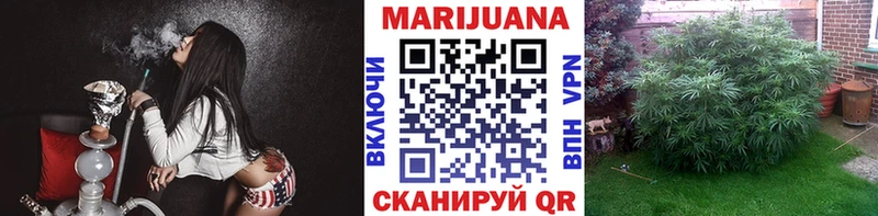 Купить закладки Гаврилов-Ям МАРИХУАНА сатива